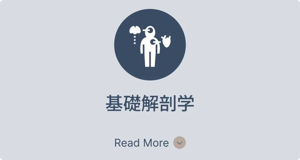 基礎解剖学